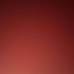 Meet your Posher, Frankie